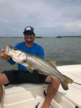 Snook Fishing in St. Petersburg, Florida