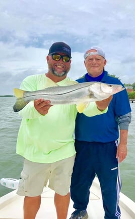 Snook Fishing in St. Petersburg, Florida