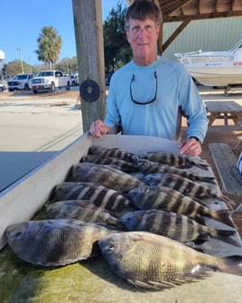 Slaying Sheepshead - 24' Pathfinder