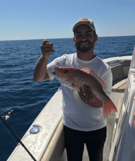 Red Snapper Fishing in St. Petersburg, Florida