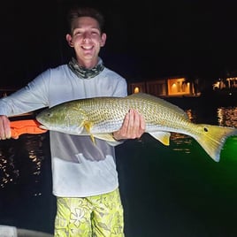 Redfish Fishing in St. Petersburg, Florida