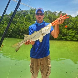 Snook Fishing in St. Petersburg, Florida