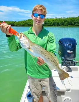 Speckled Trout Fishing in St. Petersburg, Florida