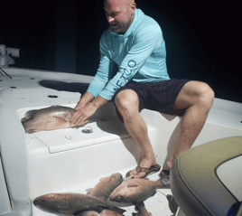 Mangrove Snapper Fishing in St. Petersburg, Florida