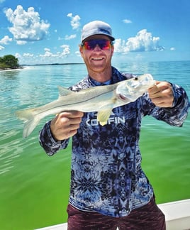 Snook Fishing in St. Petersburg, Florida