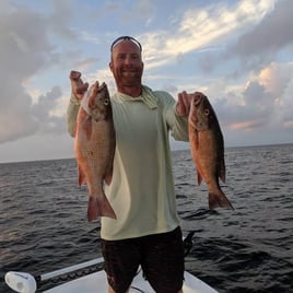 Mangrove Snapper Fishing in St. Petersburg, Florida