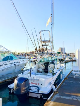 Cabo Trophy Hunt - 28’ Cuddy Cabin