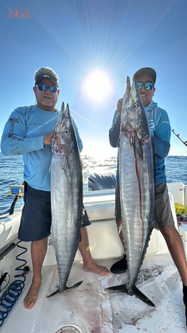 Cabo Trophy Hunt - 28’ Cuddy Cabin