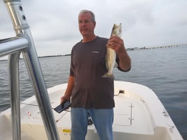 Speckled Trout Fishing in St. Petersburg, Florida