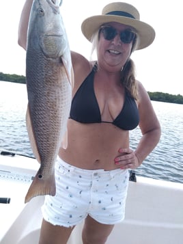 Redfish Fishing in St. Petersburg, Florida