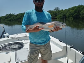 Redfish Fishing in St. Petersburg, Florida