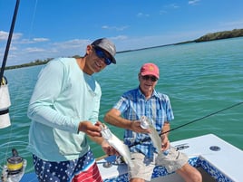 Speckled Trout Fishing in St. Petersburg, Florida