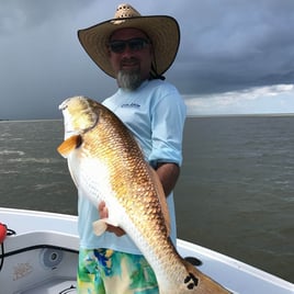 Redfish Fishing in St. Petersburg, Florida