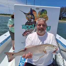 Snook Fishing in St. Petersburg, Florida