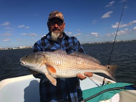 Redfish Fishing in St. Petersburg, Florida