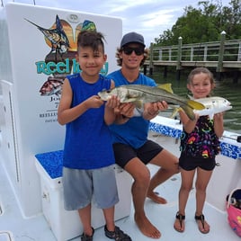 Snook Fishing in St. Petersburg, Florida