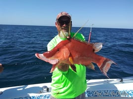 Hogfish Fishing in Gulfport, Florida