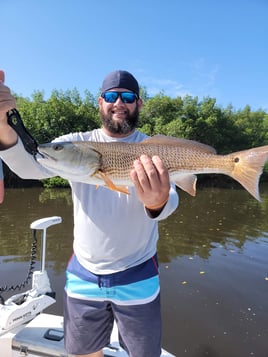 Redfish Fishing in St. Petersburg, Florida