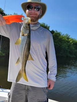 Snook Fishing in St. Petersburg, Florida