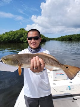 Redfish Fishing in St. Petersburg, Florida