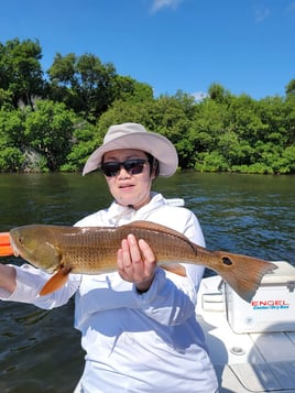 Redfish Fishing in St. Petersburg, Florida