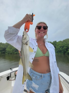 Snook Fishing in St. Petersburg, Florida