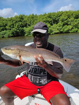 Redfish Fishing in St. Petersburg, Florida