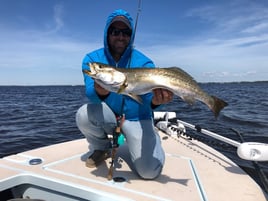 Speckled Trout Fishing in Panama City Beach, Florida