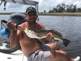 Speckled Trout Fishing in Panama City Beach, Florida