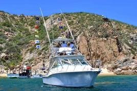 Deep Sea Cabo - 36' Cabo Express