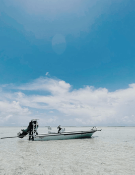 Lowcountry's Tidal Fishing