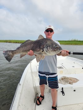 Exploring the Louisiana Marsh