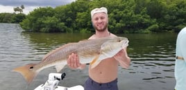 Snook Fishing in Clearwater, Florida