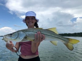 Snook Fishing in Clearwater, Florida