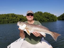 Redfish Fishing in Clearwater, Florida