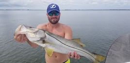 Snook Fishing in Clearwater, Florida