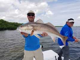 Redfish Fishing in Clearwater, Florida