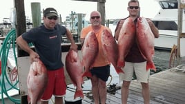 Red Snapper Fishing in Destin, Florida