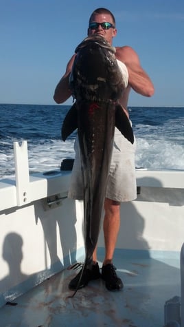 Cobia Fishing in Destin, Florida