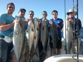 Epic Summer Sportfishing