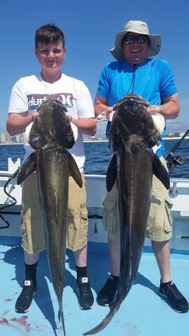 Cobia Fishing in Destin, Florida