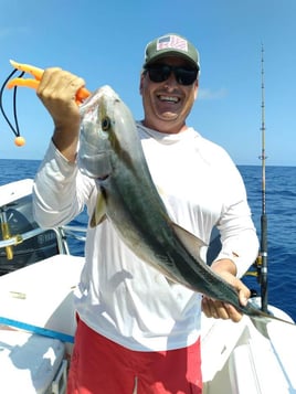 Offshore Fishing Frenzy