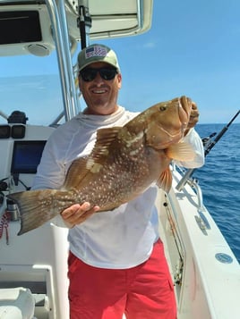 Offshore Fishing Frenzy