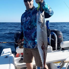 Offshore Fishing Frenzy