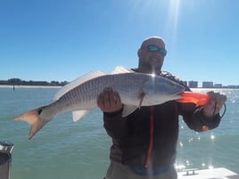 Redfish Fishing in Clearwater, Florida