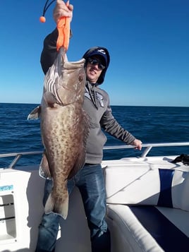 Offshore Fishing Frenzy