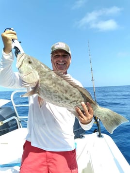 Offshore Fishing Frenzy