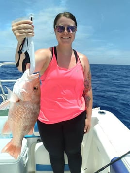 Red Snapper Fishing in Clearwater, Florida