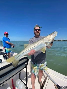 Snook Fishing in Clearwater, Florida