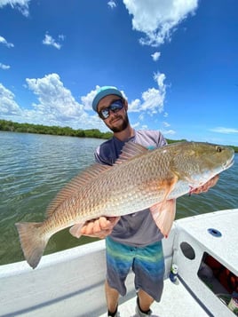 Redfish Fishing in Clearwater, Florida